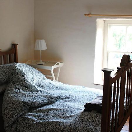 Relaxing Pet Friendly 2-Bed Cottage In Rhandirmwyn Llandovery Exterior foto