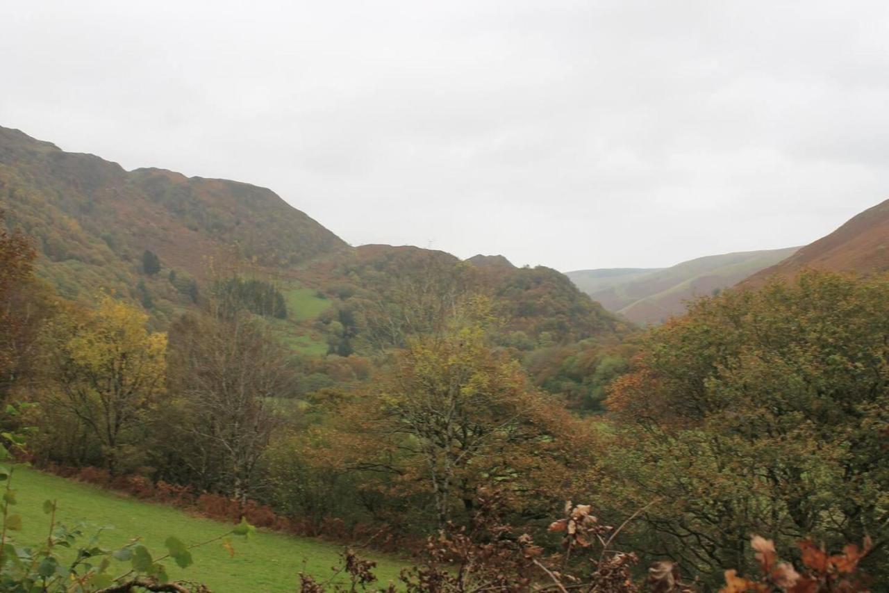 Relaxing Pet Friendly 2-Bed Cottage In Rhandirmwyn Llandovery Exterior foto